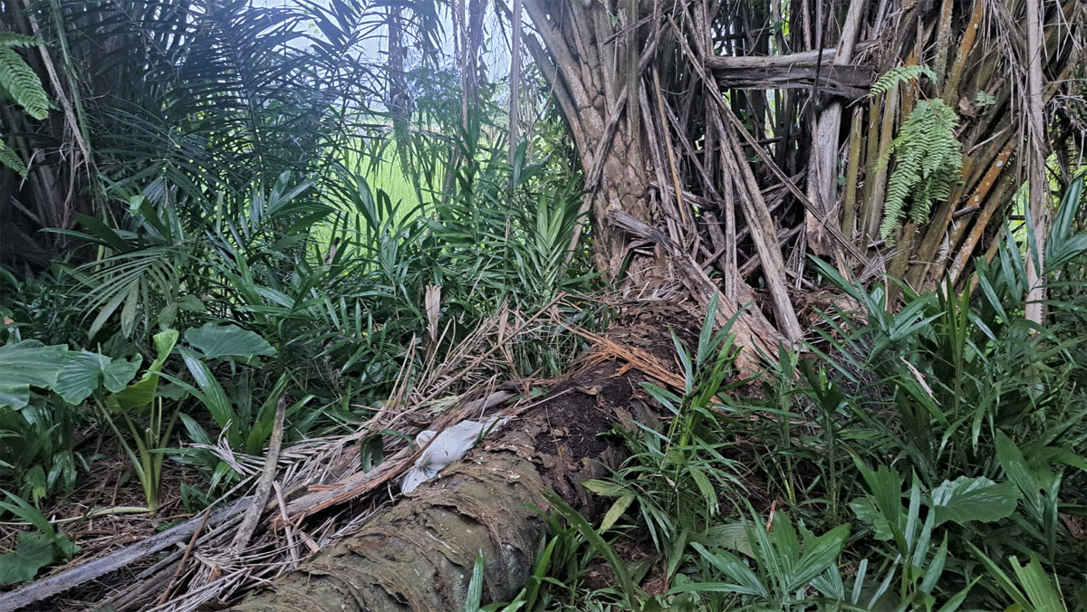 Lokasi penemuan korban.