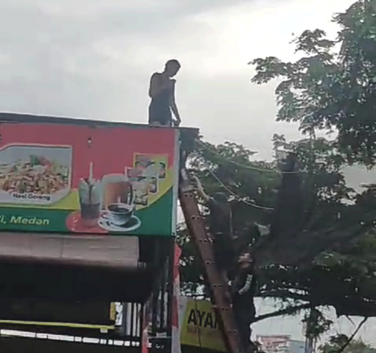 Seorang wanita diduga mencoba bunuh diri dari atap sebuah warung kopi yang berlokasi di Jalan Kabupaten Perbaungan, Kabupaten Serdang Bedagai, Sabtu (21/12/2024)