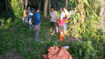 Warga dan polisi melakukan persiapan jelag evakuasi bayi yang ditemukan hanyut di Dharmasraya.