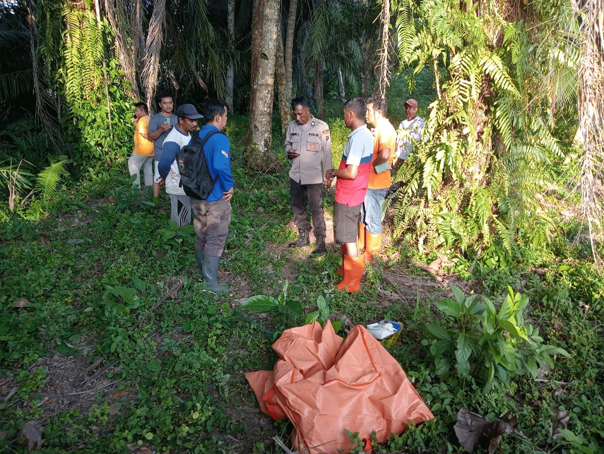 Warga dan polisi melakukan persiapan jelag evakuasi bayi yang ditemukan hanyut di Dharmasraya.