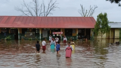 Luapan Sungai Kampar akibat pembukaan pintu air PLTA Koto Panjang dan intensitas hujan yang tinggi telah menyebabkan banjir meluas di Kabupaten Pelalawan.
