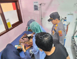 Jasad Bayi Perempuan Ditemukan Warga di Jorong Talago, Limapuluh Kota 2 Jasad Bayi Perempuan Ditemukan Warga di Jorong Talago, Limapuluh Kota