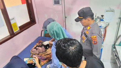 Warga Jorong Talago, Nagari VII Koto Talago, Kecamatan Guguak, Kabupaten Limapuluh Kota digegerkan dengan penemuan jasad bayi perempuan, Sabtu (18/1/2025) sekitar pukul 07.00
