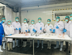 Olah Ikan Tilapia Berkualitas Tinggi, Kementerian Bidang Pangan Apresiasi Regal Springs Indonesia 9 Olah Ikan Tilapia Berkualitas Tinggi, Kementerian Bidang Pangan Apresiasi Regal Springs Indonesia