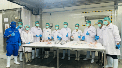 Kemenko Pangan kunjungi RSI, tinjau proses pengolahan ikan tilapia