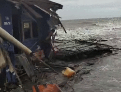 Gelombang Pasang Sapu Pemukiman di Kuala Selat Indragiri Hilir, 2.000 Hektare Kebun Terancam Abrasi 12 Gelombang Pasang Sapu Pemukiman di Kuala Selat Indragiri Hilir, 2.000 Hektare Kebun Terancam Abrasi