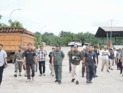 Disinyalir Terima Buah Sawit dari Kawasan Hutan Lindung, Bupati Kuansing Sidak ke PT Gemilang Sawit Lestari 12 Disinyalir Terima Buah Sawit dari Kawasan Hutan Lindung, Bupati Kuansing Sidak ke PT Gemilang Sawit Lestari