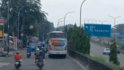 Miyor Hadirkan Dua Armada Dream Class Rakitan Karoseri Tentrem, Gunakan Bodi H7 Priority