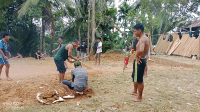 Pemerintah Desa Tuhegeo II, Kecamatan Gunungsitoli Idanoi, Kota Gunungsitoli menggandeng karang taruna untuk membangun sarana lapangan bola voli secara bergotong-royong, Senin (6/1/2025).