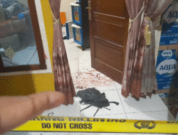 Perampokan Toko Grosir di Dharmasraya, Dua Warga Alami Luka Tembak, Pelaku Masukkan Uang ke Tas Hitam 8 Perampokan Toko Grosir di Dharmasraya, Dua Warga Alami Luka Tembak, Pelaku Masukkan Uang ke Tas Hitam