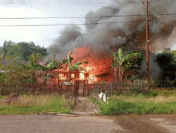 Api Mengamuk di Desa Macang Tanggar, Satu Rumah Ludes Terbakar, Kerugian Ditaksir Rp150 Juta 3 Api Mengamuk di Desa Macang Tanggar, Satu Rumah Ludes Terbakar, Kerugian Ditaksir Rp150 Juta