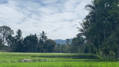 Nagari III Koto Aur Malintang Timur menawarkan pesona alam yang memukau dan budaya yang kaya.