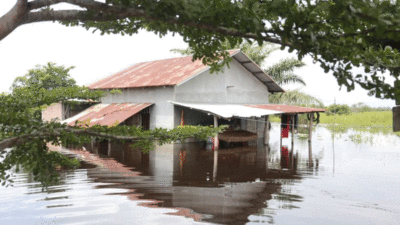 Banjir genangi pemukiman warga di Riau.