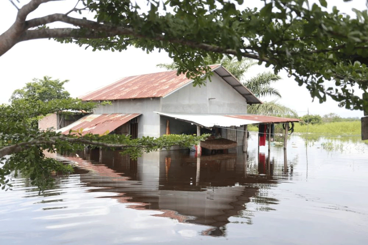Banjir genangi pemukiman warga di Riau.