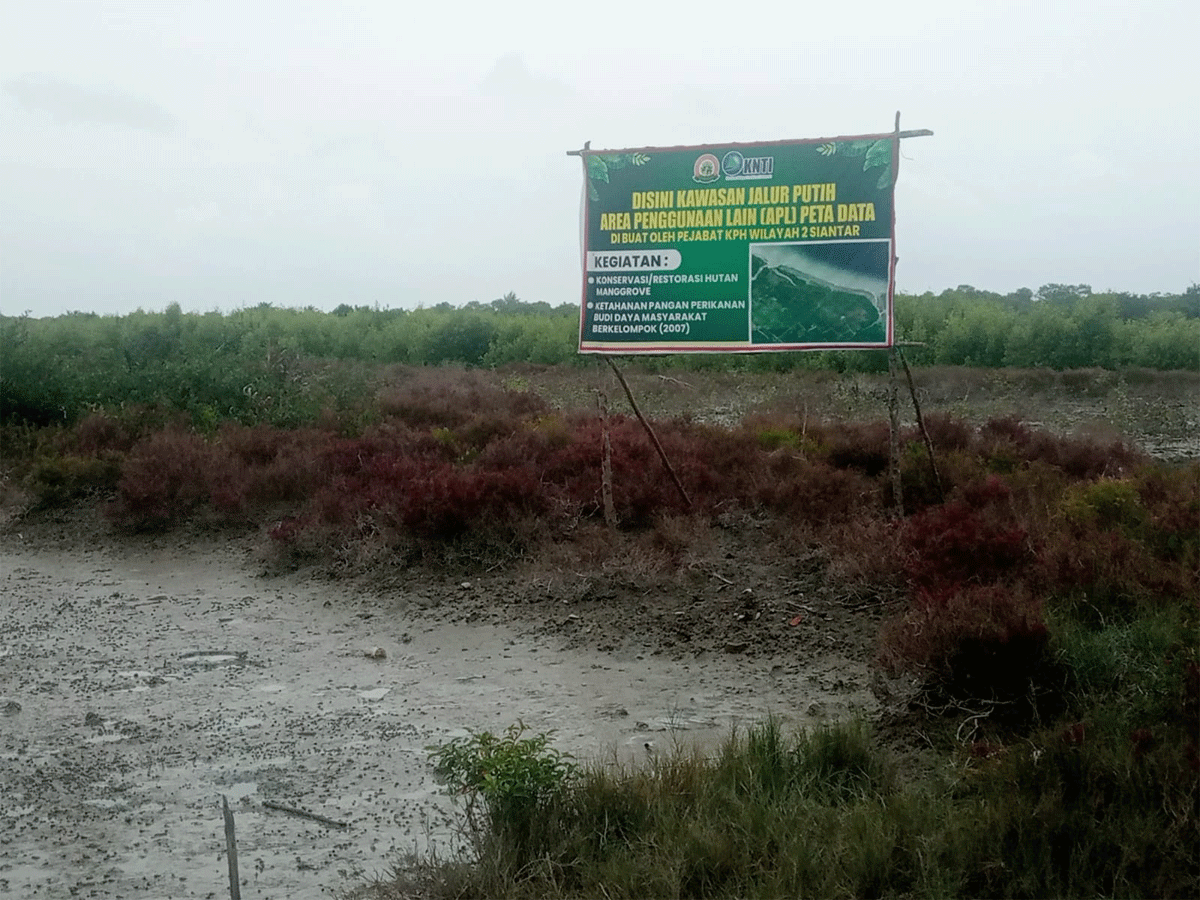 Lahan yang sedang diperbincangkan