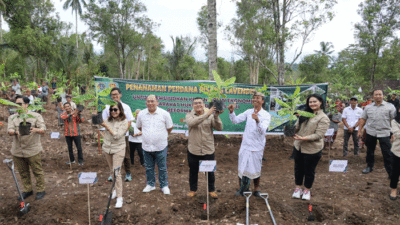 Wujud Penataan Akses Tanah Ulayat Pertama di Indonesia, Wamen ATR Tanam Pisang di Jembrana