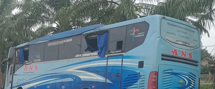 Sebuah bus ANS mengalami kecelakaan tunggal di Kabupaten Batanghari, Jambi.