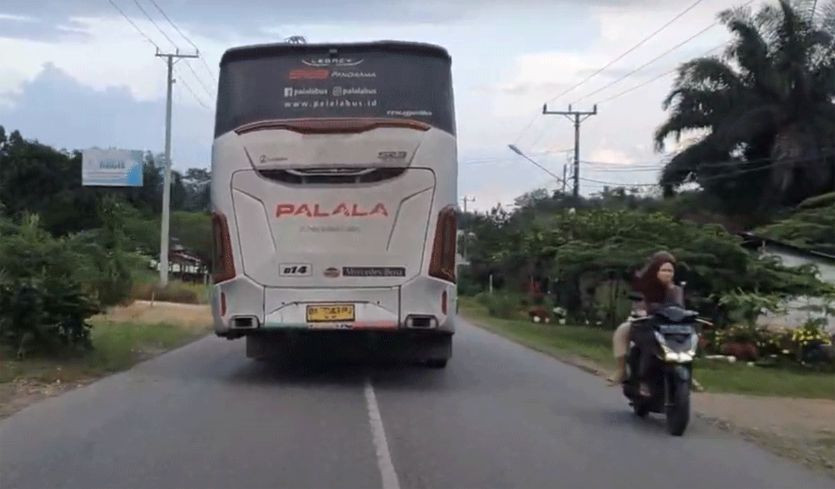 Bus Palala melewati jalan alternatif Padang-Jambi. (YouTube Dafandi)