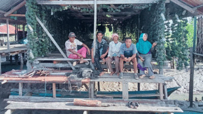 Petani Rumput Laut Desa Tanailandu di Buteng yang mengeluhkan turunnya harga hasil budidaya rumput laut mereka.