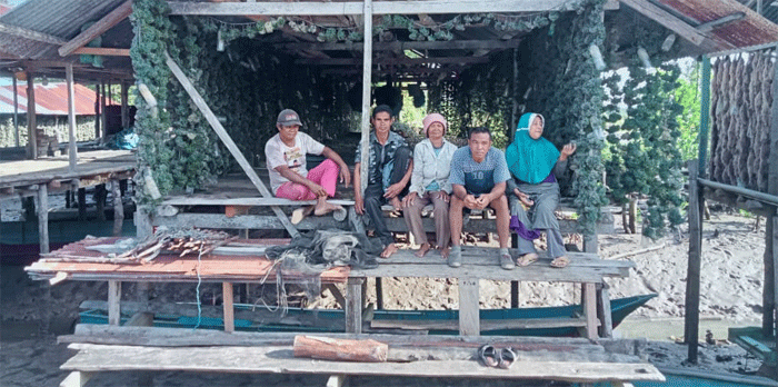 Petani Rumput Laut Desa Tanailandu di Buteng yang mengeluhkan turunnya harga hasil budidaya rumput laut mereka.