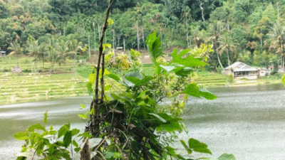 Danau Tuo, Danau Tersembunyi di Kabupaten Solok