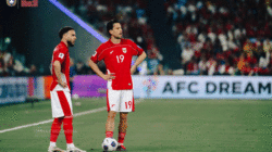 Capaian Terbaik 15 Tahun Terakhir, Peringkat FIFA Indonesia 123