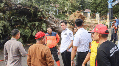 Wali Kota Sawahlunto, Riyanda Putra datang ke lokasi pohon tumbang di Desa Kolok Nan Tuo, Rabu (5/3/2025).