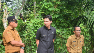 Penantian Masyarakat Jadi Kenyataan, Tower Berdiri di Desa Batu Tanjung, Wali Kota Sawahlunto Akan Wujudkan Pemerataan Komunikasi