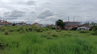 Lokasi yang dijanjikan untuk dibangun rumah