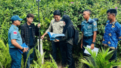 Petugas ukur perempuan yang menjalankan tugas di Kementerian Agraria dan Tata Ruang/Badan Pertanahan Nasional (ATR/BPN).