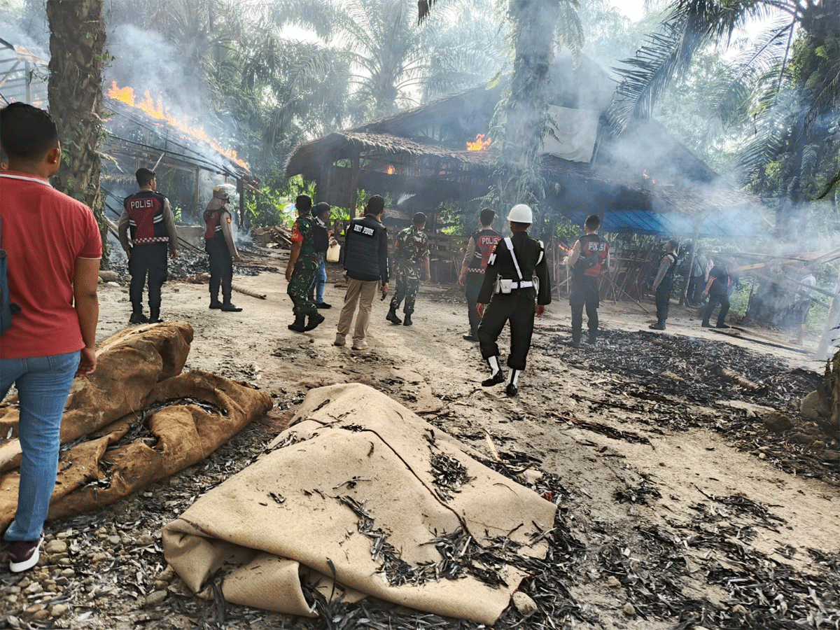 Detasemen Polisi Militer (Denpom) I/5 Medan bersama Polrestabes Medan dan unsur gabungan lainnya menggelar razia besar-besaran di arena sabung ayam yang terletak di Dusun 7, Desa Namo Bintang, Kecamatan Pancur Batu, Kabupaten Deli Serdang, Minggu (6/4/2025).