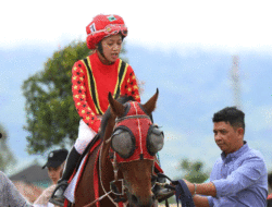 Juarai Pacuan Kuda Wisata Derby 2025 di Bukittinggi, Ini Sosok Najla Al Balkis