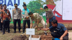 Kapolda Riau Tanam Pohon di Kuansing, Bupati Wacanakan Satu Desa Taman Pohon Satu Hektare