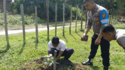 Jaga Alam dan Kelestarian Lingkungan, Polisi Bersama Warga Tanam Pohon di Pangean