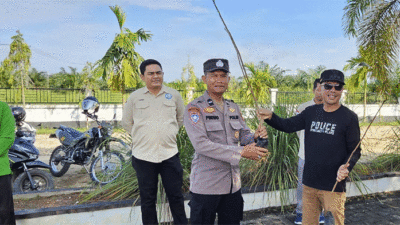 Tanam pohon di Sentajo Raya