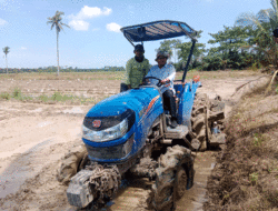 Petani Sergai Sambut Program Oplah 2025, Siap Panen Tiga Kali Setahun 6 Petani Sergai Sambut Program Oplah 2025, Siap Panen Tiga Kali Setahun