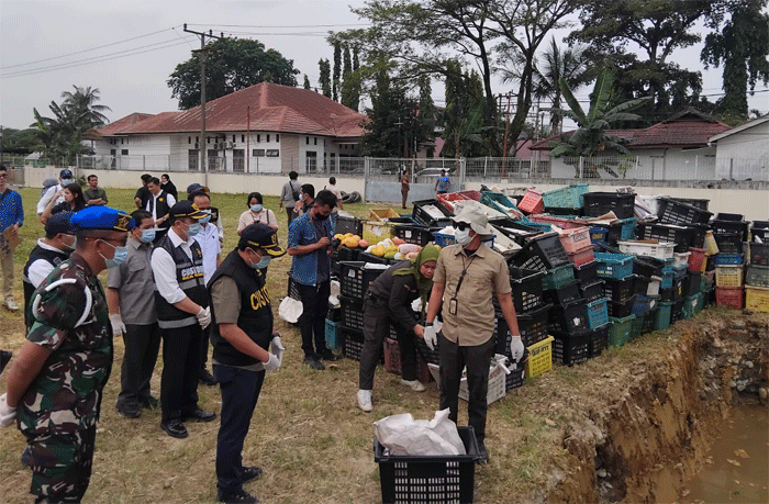 Balai Besar Karantina Hewan, Ikan dan Tumbuhan Sumatera Utara musnahkan media pembawa ilegal berupa buah mangga asal Thailand, Kamis (26/6/2025).