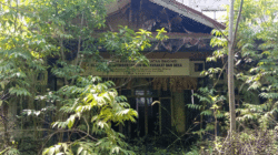 Gedung milik Pemkab Kuansing yang dibiarkan terbengkalai dan tak terurus.