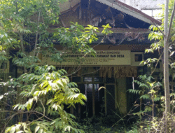Gedung Milik Pemkab Kuansing Dipenuhi Semak Belukar, Cocok untuk Lokasi Syuting Film Horor 11 Gedung Milik Pemkab Kuansing Dipenuhi Semak Belukar, Cocok untuk Lokasi Syuting Film Horor
