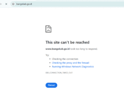 Website Pemerintah Kabupaten Bungo Tak Bisa Diakses, Kok Dibiarkan Saja?