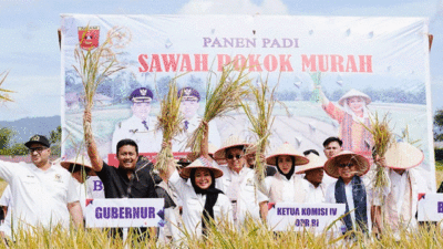 Gubernur Sumatera Barat Vasko Ruseimy dampingi Ketua Komisi IV DPR RI, Siti Hediyati Haryadi atau Titiek Soeharto dalam rangkaian kunjungan kerja ke Sumbar pada 20–22 Juni 2025. Salah satu agenda penting yang dijalankan adalah panen padi dengan menggunakan metode pertanian inovatif bernama Sawah Pokok Murah di Agam, Sabtu (21/6/2025)