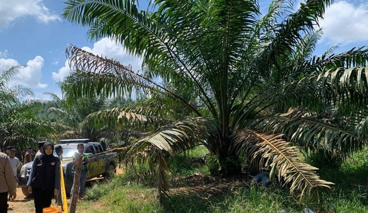 Lokasi penemuan mayat di Solok Selatan.