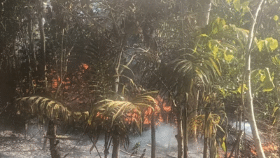 Kebakaran lahan di Kabupaten Solok.