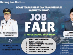Pemkab Bungo Adakan Job Fair, Tersedia 217 Lowongan Kerja, Ayo Buruan Daftar 12 Pemkab Bungo Adakan Job Fair, Tersedia 217 Lowongan Kerja, Ayo Buruan Daftar