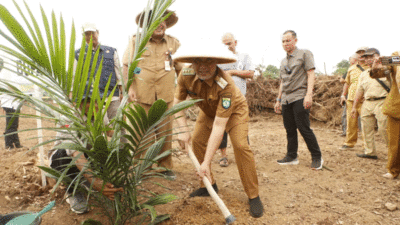 Bupati Dedy Putra luuncurkan Program Sawit Rakyat (Prowitra) yang ditandai dengan kegiatan tanam perdana dan penyerahan bibit sawit gratis secara simbolis kepada masyarakat di Dusun Mangun Jayo, Kecamatan Muko-Muko Bathin VII, Kabupaten Bungo, Selasa (29/7/2025).