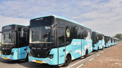 Bus Trans Sulsel