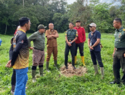 Solok Selatan Buka Jalur Pendakian Baru ke Gunung Kerinci