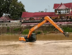 Jelang Pacu Jalur, Debit Air Sungai Kuantan Menyusut Drastis Lantaran Kemarau Panjang
