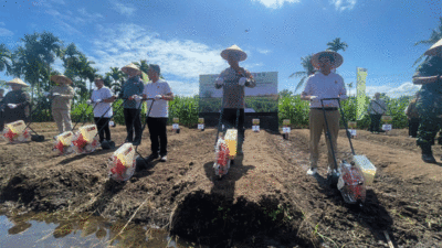 Atasi kekurangan jagung, pemprov dan Polda Sumbar jalin kolaborasi dengan investor