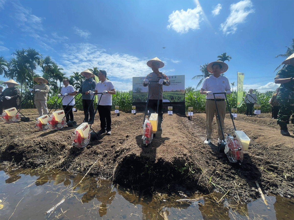 Atasi kekurangan jagung, pemprov dan Polda Sumbar jalin kolaborasi dengan investor